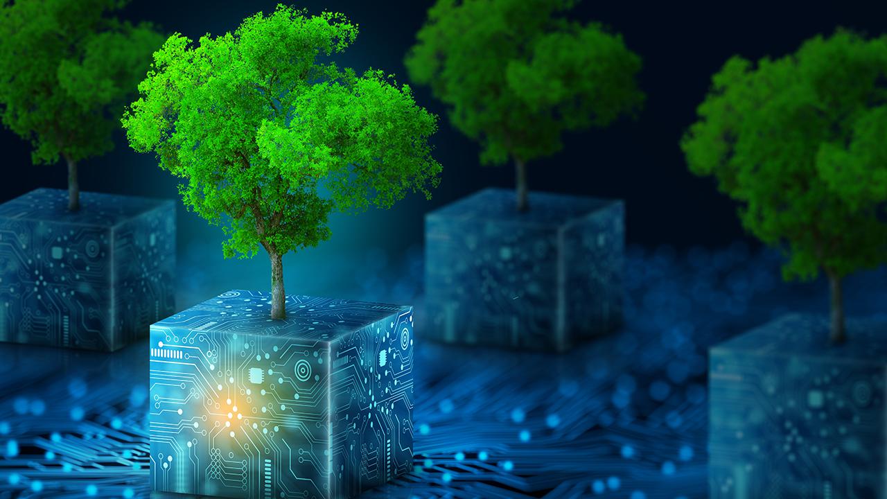 Digital nature