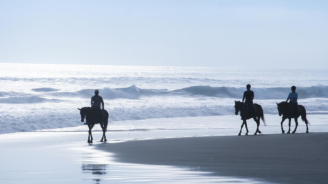 Riding in paradise...