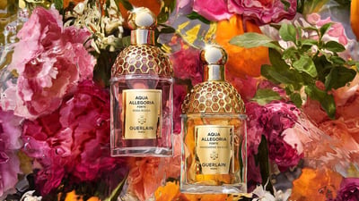 AquaAllegoria1