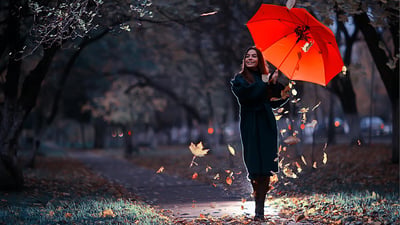 Brussels' umbrellas