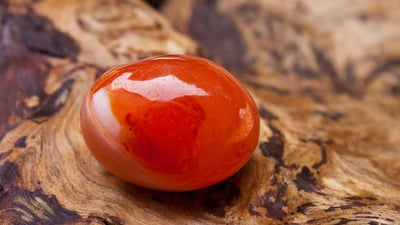 Cornelian1