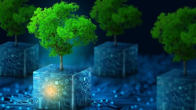 Digital nature