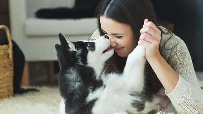 I love my cat