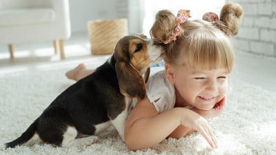 Pawsitively Celebrating International Dog Day