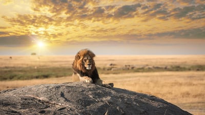 Day of the King