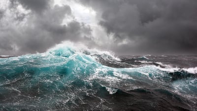 "Seas & Oceans" experience, when Art meets Science