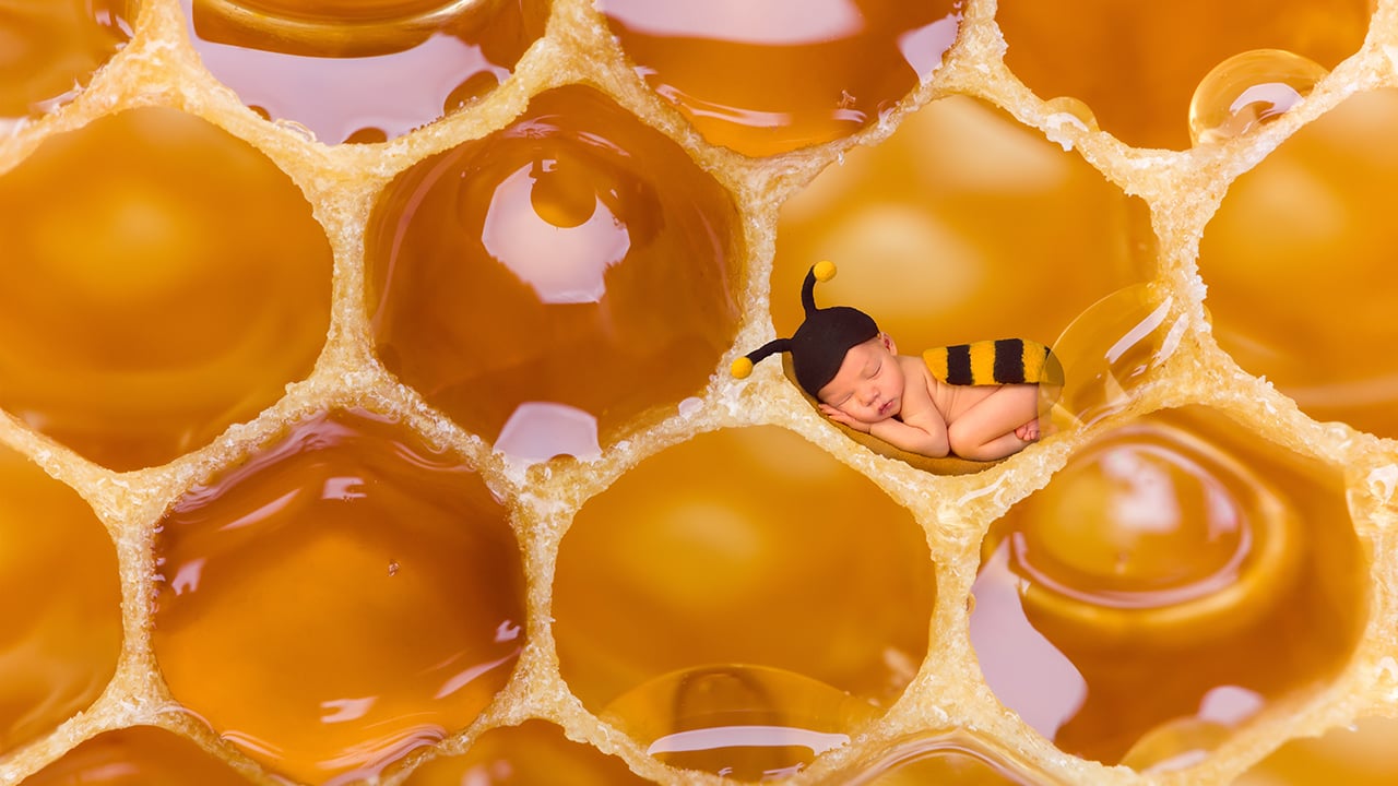 City Honeymakers, by LB