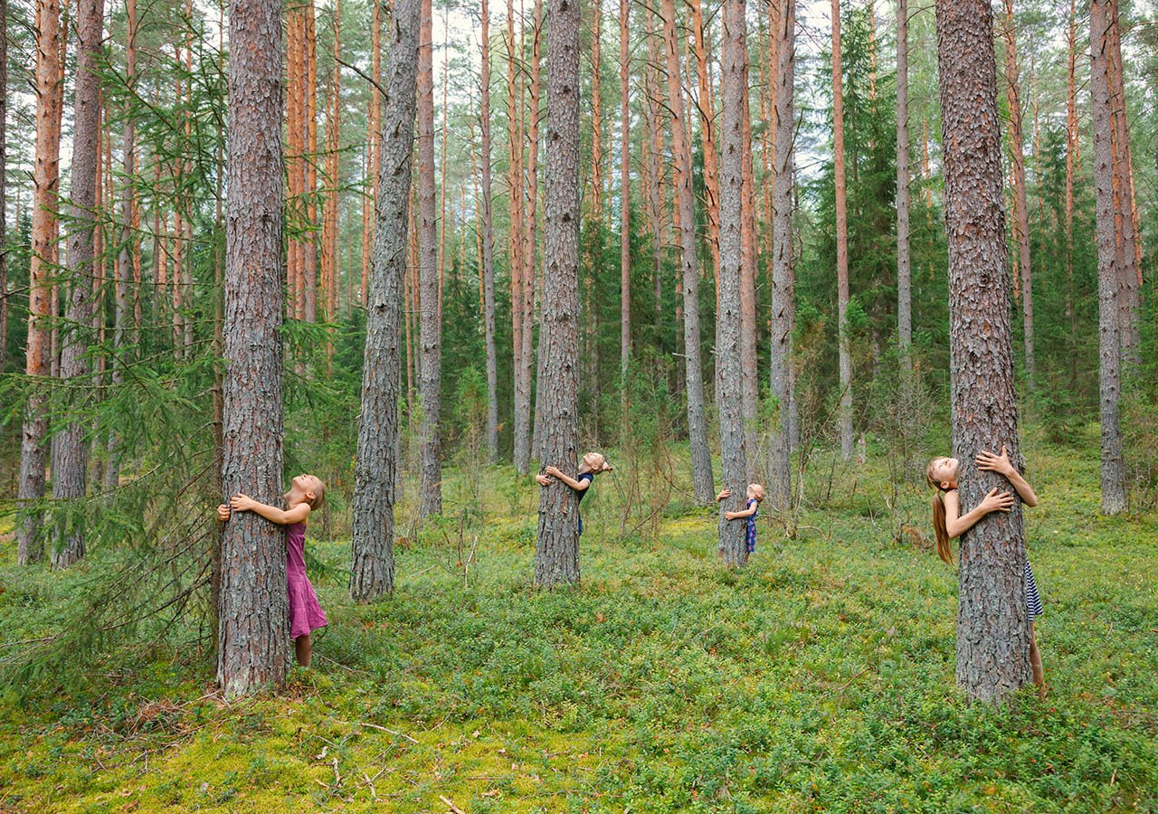 Meeting with a tree, LB edito