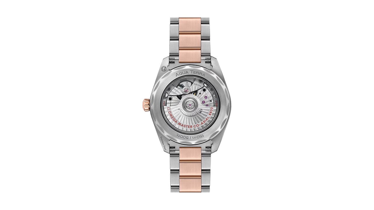 Omega Seamaster Aquaterra 150