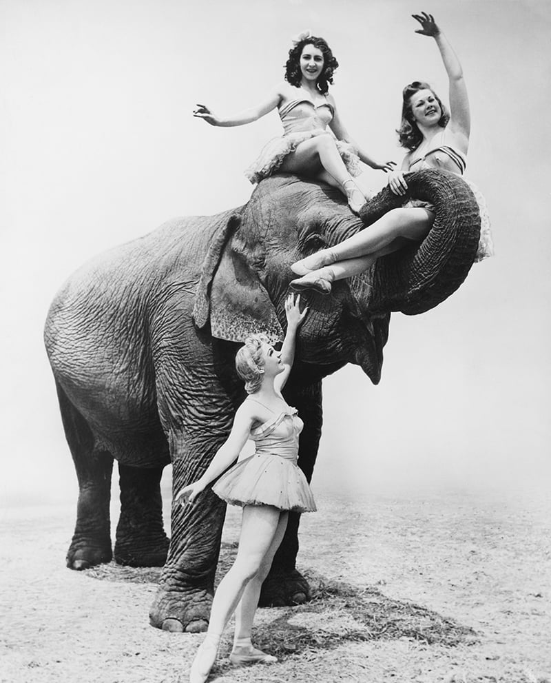 The timeless magic of Circus, LB