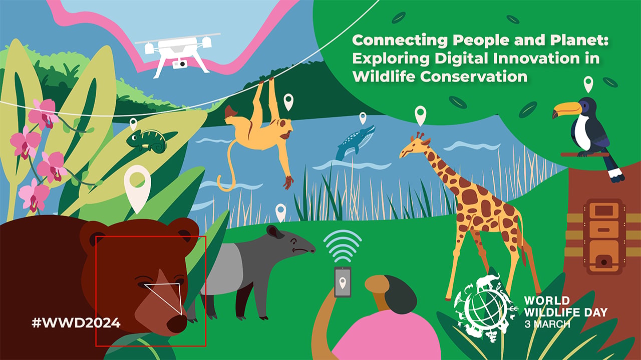 World Wildlife Day 2024 poster contest winner Hui Xin