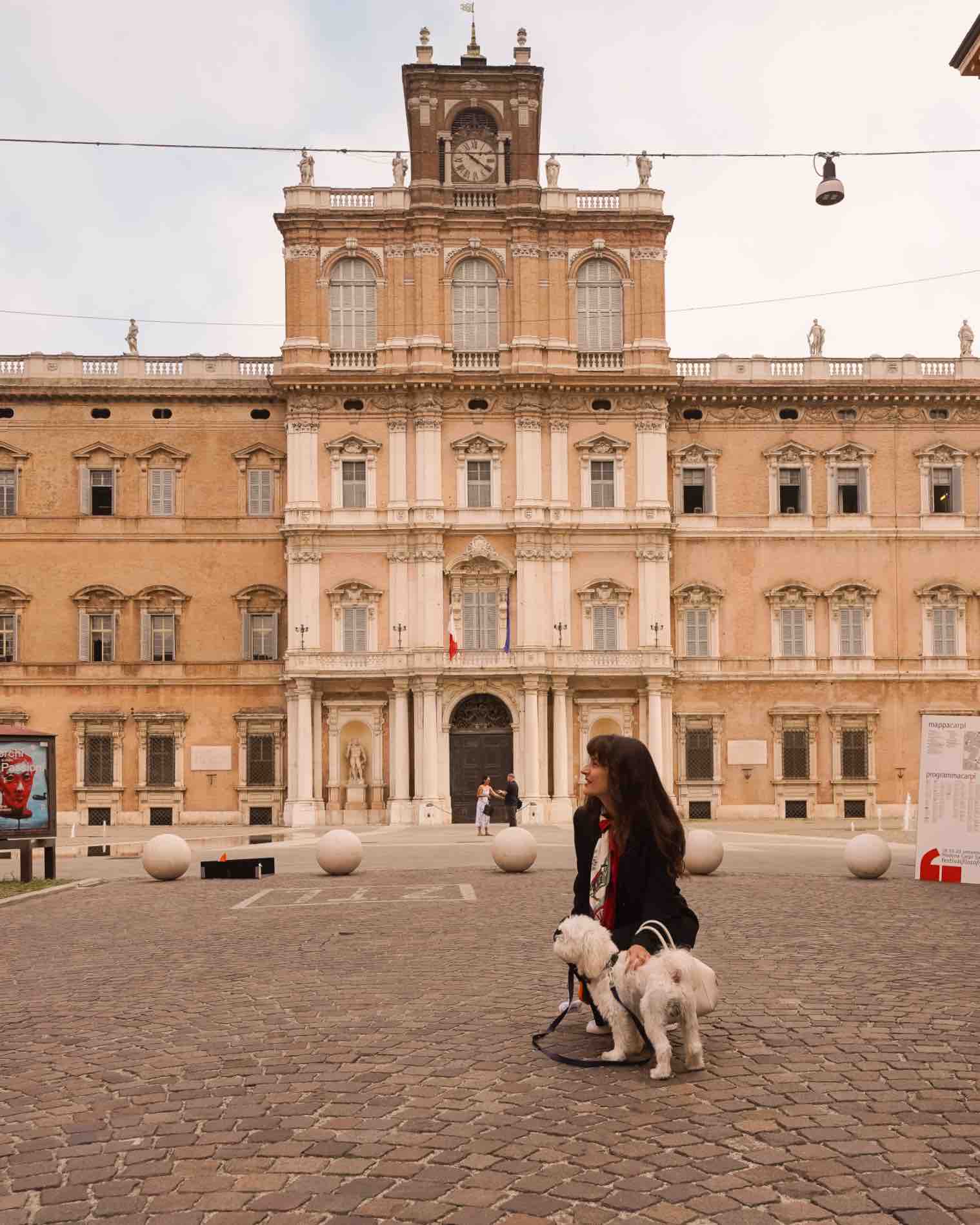 Dog Dolce Vita: Exploring Northern Italy