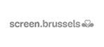 Screen Brussels